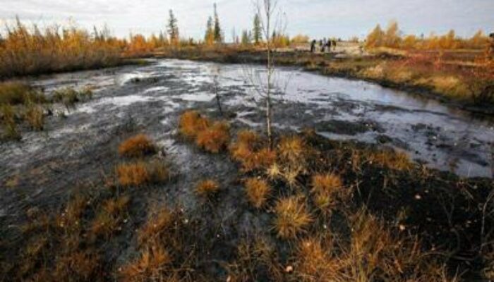 Ribuan Ton Minyak Tumpah di Wilayah Utara Rusia