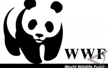 Laporan WWF: Lingkungan Bumi Semakin Buruk - Kabar Harian Bima