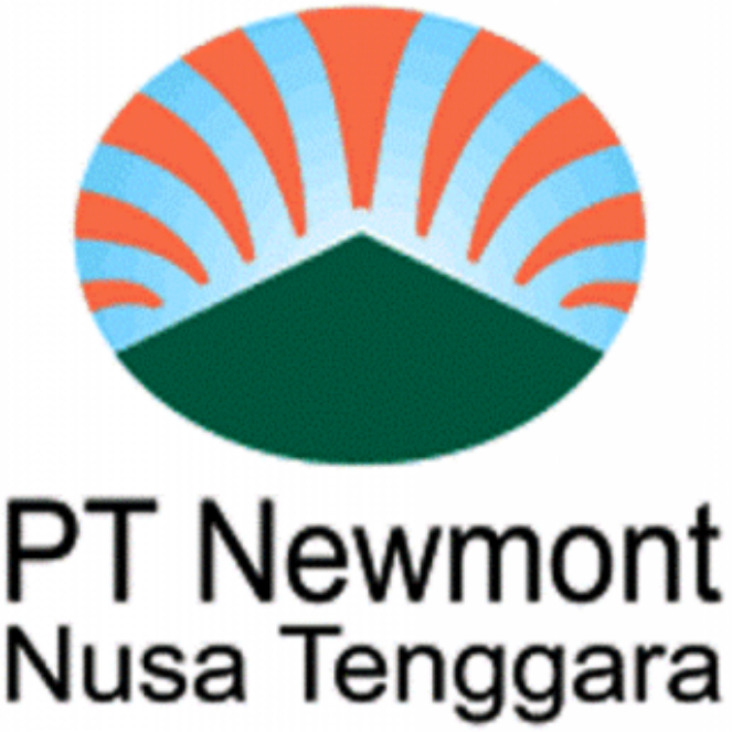 Pemerintah Harus Beli 7% Saham Newmont