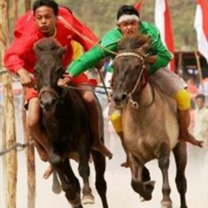 Demi APEKSI, Pacuan Kuda Digelar