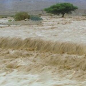 Hujan Deras, Terjadi Tanah Longsor dan Pohon Tumbang - Kabar Harian Bima