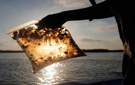 Teluk Bima Terancam Kebocoran Pipa BBM PLTD - Kabar Harian Bima