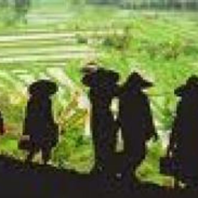 Tahun 2013, Gapoktan Ditambah di Lima Desa