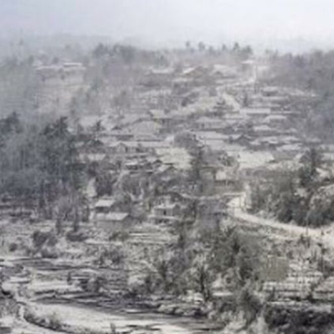 Ribuan Ha Tanaman Petani Desa Sangeang, Rusak