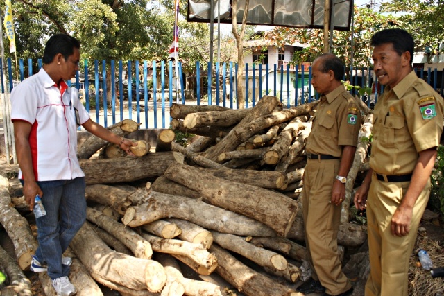Ratusan Kayu Illegal Logging Diamankan - Kabar Harian Bima