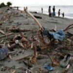 Peduli Pantai, PMII Gelar Bakti Sosial - Kabar Harian Bima