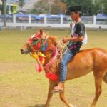 30 Kuda Berlaga Pada Kontes Kuda - Kabar Harian Bima
