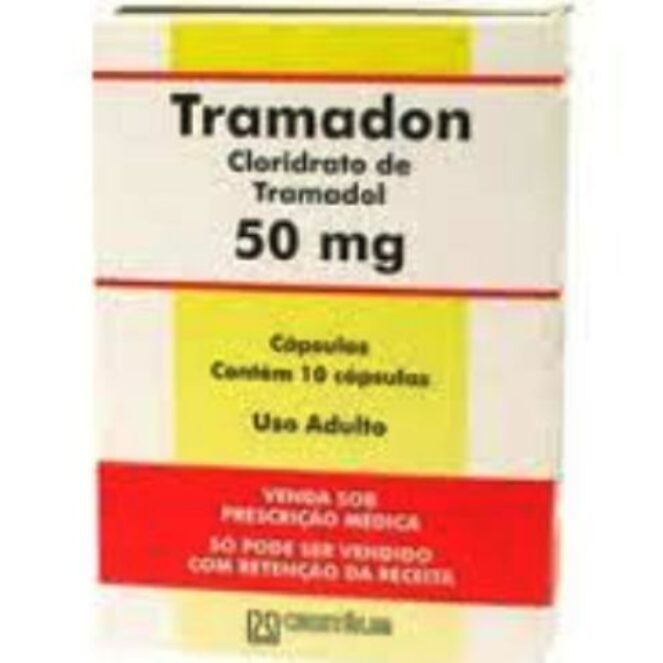 Tramadon Beredar Bebas, Mahasiswa Seruduk Dikes