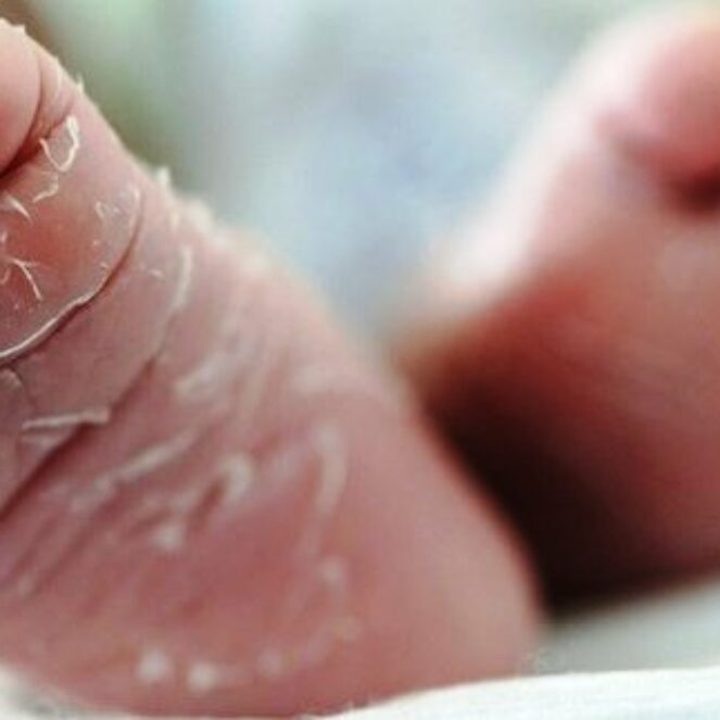 Penemuan Mayat Bayi Gegerkan Warga BTN Penatoi