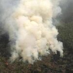 BPBD: Ada Lima Titik Api di Kabupaten Bima - Kabar Harian Bima