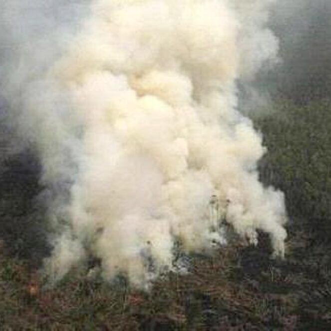 BPBD: Ada Lima Titik Api di Kabupaten Bima