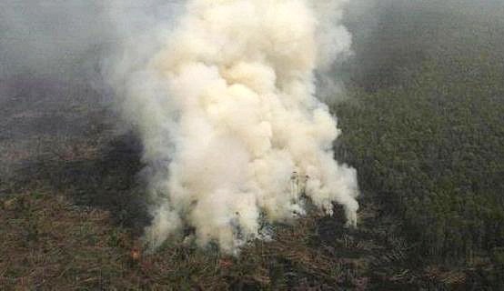 BPBD: Ada Lima Titik Api di Kabupaten Bima - Kabar Harian Bima