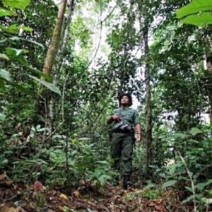 Jaga Hutan, Dishut Tempatkan 47 Personil - Kabar Harian Bima