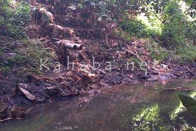 Limbah kotoran sapi yang dibuang di sungai Kelurahan Penanae. Foto: Bin