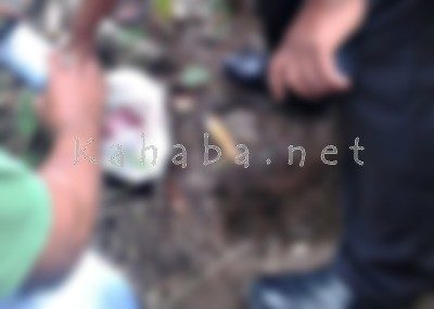 Mayat Bayi yang ditemukan di Pegunungan Nungga. Foto: Deno