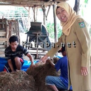 Dispertanak Imbau Masyarakat Potong Ternak di RPH