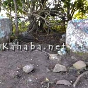 Situs Purbakala Wadu Nocu Di Wawo, tidak Terurus - Kabar Harian Bima