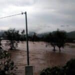 BPBD: Banjir di Sape Sudah Capai Lutut - Kabar Harian Bima