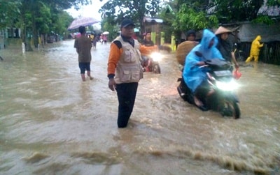 Dampak Banjir Kabupaten Bima, Ratusan Hektar Lahan Pertanian Rusak - Kabar Harian Bima
