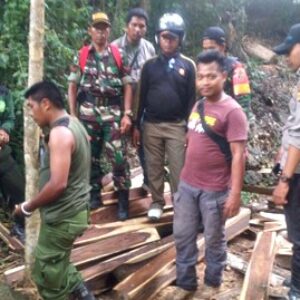 27 Kubik Kayu Sonokling Hasil Illegal Logging Dimusnahkan
