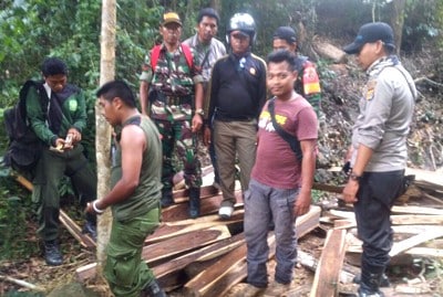 27 Kubik Kayu Sonokling Hasil Illegal Logging Dimusnahkan - Kabar Harian Bima