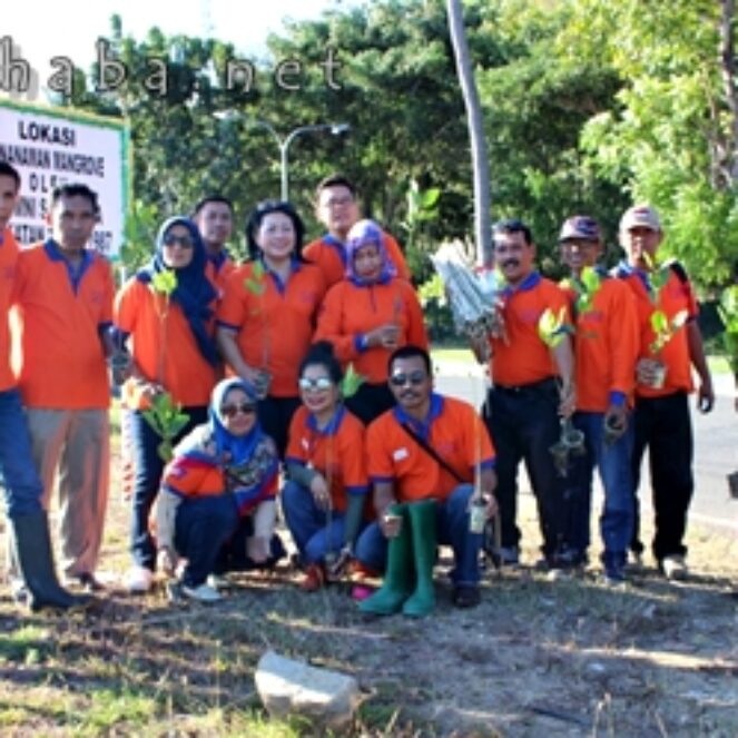Alumni 87  SMAN 1 Kota Bima Tanam 500 Pohon Mangrove