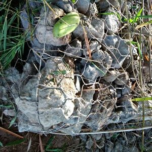 Pekerjaan Tidak Sesuai Spek, Proyek Pengendalian DAS dan Hutan Lindung di Wawo Disorot Warga