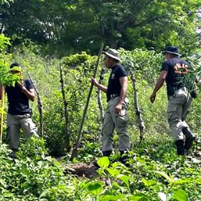 Peduli Alam, Pol PP Bersama Komunitas Panggita Mbojo Tanam Pohon