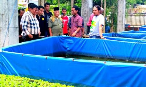 Kunjungi Lokasi Budidaya Ikan Milik Babuju, Farouk Janji Bantu Sesuai Kewenangannya di DPD RI - Kabar Harian Bima