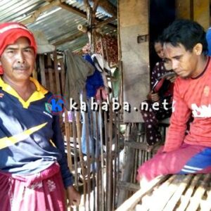 Harga Kacang Anjlok, Petani Minta Pemerintah Tetapkan Harga Beli Kacang