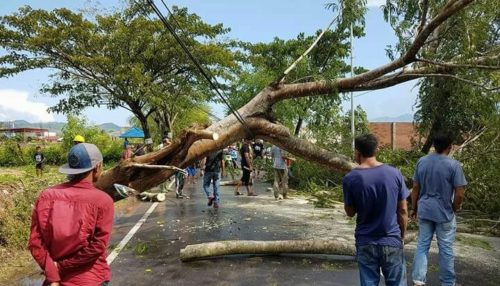 Angin Puting Beliung, Pohon Tumbang, 5 Rumah di Talabiu Rusak - Kabar Harian Bima
