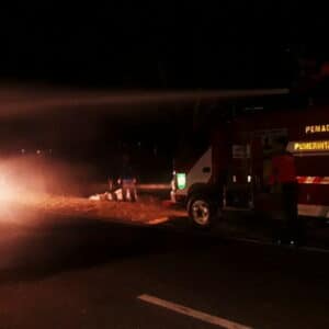 2 Pohon Besar Pinggir Jalan Terbakar, Pengguna Jalan Panik