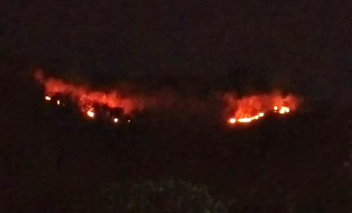 Hutan di Dara Malam Ini Terbakar - Kabar Harian Bima