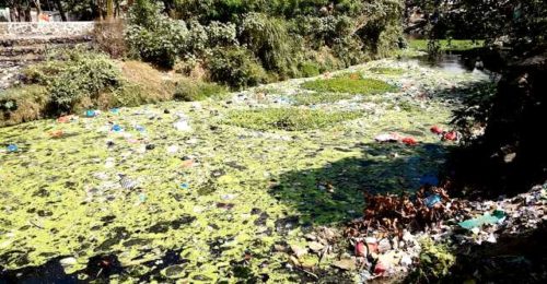 Pencemaran Sungai Padolo Masuk Tahap Mengkhawatirkan - Kabar Harian Bima