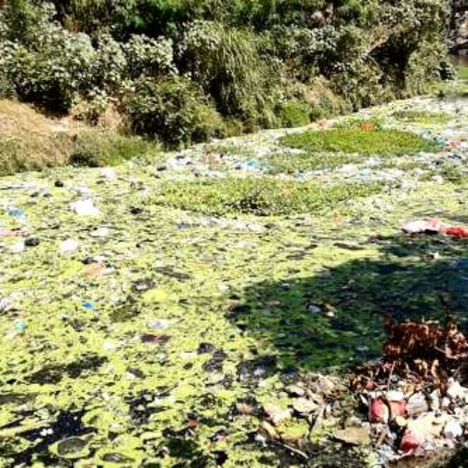Pencemaran Sungai Padolo Masuk Tahap Mengkhawatirkan