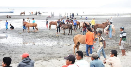 Ayo Ke Napa, Ada Gelaran Pacuan Kuda Pantai Se-Pulau Sumbawa - Kabar Harian Bima