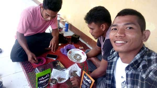 Mengenal Kopi Tambora Lebih Dekat, Kualitas Kopi Menentukan Cita Rasa Kopi - Kabar Harian Bima