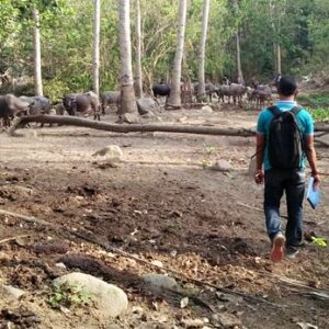 Bangun Agro Wisata, Bkph Tambora Cari Investor - Kabar Harian Bima