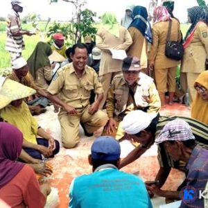Sekolah Lapangan, Poktan Desa Darussalam Diajari Cara Tingkatkan Produktifitas Tanaman Padi
