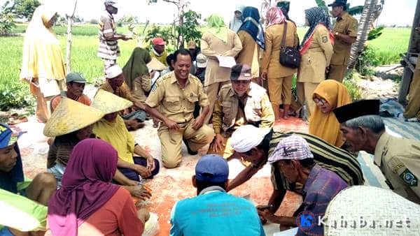 Sekolah Lapangan, Poktan Desa Darussalam Diajari Cara Tingkatkan Produktifitas Tanaman Padi - Kabar Harian Bima