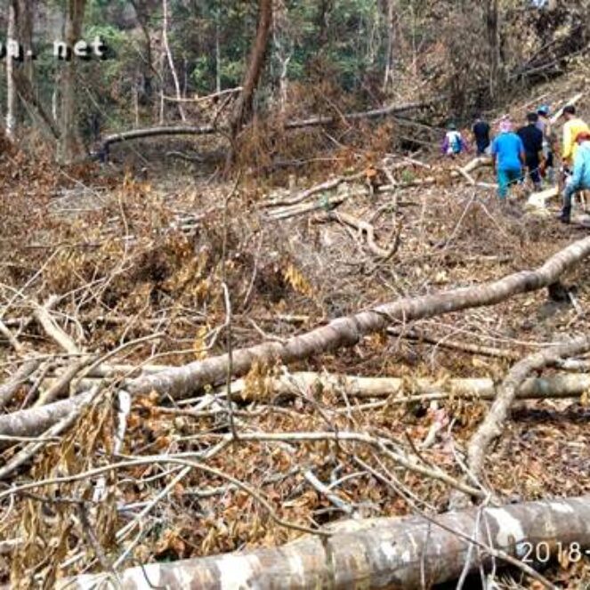 Hutan Gundul, Sekda Dompu Salahkan Masyarakat dan KLHK Provinsi