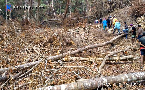 Hutan Gundul, Sekda Dompu Salahkan Masyarakat dan KLHK Provinsi - Kabar Harian Bima