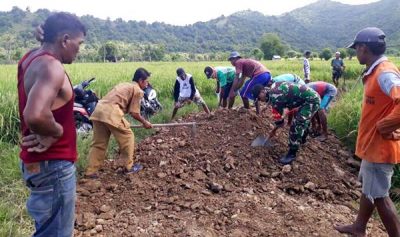 Perbaiki Jalan Ekonomi Dengan Swadaya, Petani Desa Sanolo Minta Perhatian Pemerintah - Kabar Harian Bima