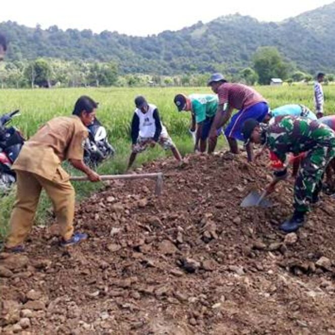 Perbaiki Jalan Ekonomi Dengan Swadaya, Petani Desa Sanolo Minta Perhatian Pemerintah
