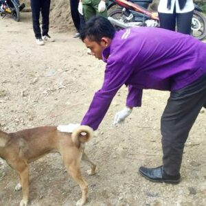 Anjing Rabies Gigit Warga Tonda, UPT Peternakan Madapangga Vaksinasi  - Kabar Harian Bima