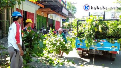 Ramadan, PLN Rutin Bersihkan Pohon Penyebab Listrik Padam - Kabar Harian Bima