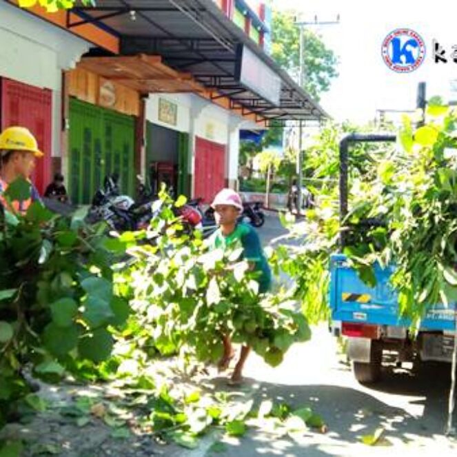 Ramadan, PLN Rutin Bersihkan Pohon Penyebab Listrik Padam