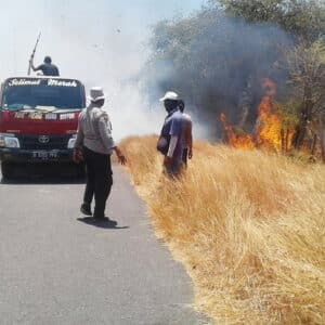 Lahan Sanggar Agro Terbakar