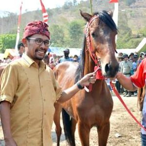 725 Peserta Ikut Pacuan Kuda Sambinae, Walikota Bima Lepas Secara Resmi