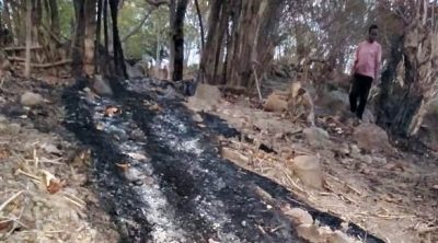 Akibat Pembakaran Lahan, Pipa Air Bersih di Wawo Terbakar - Kabar Harian Bima